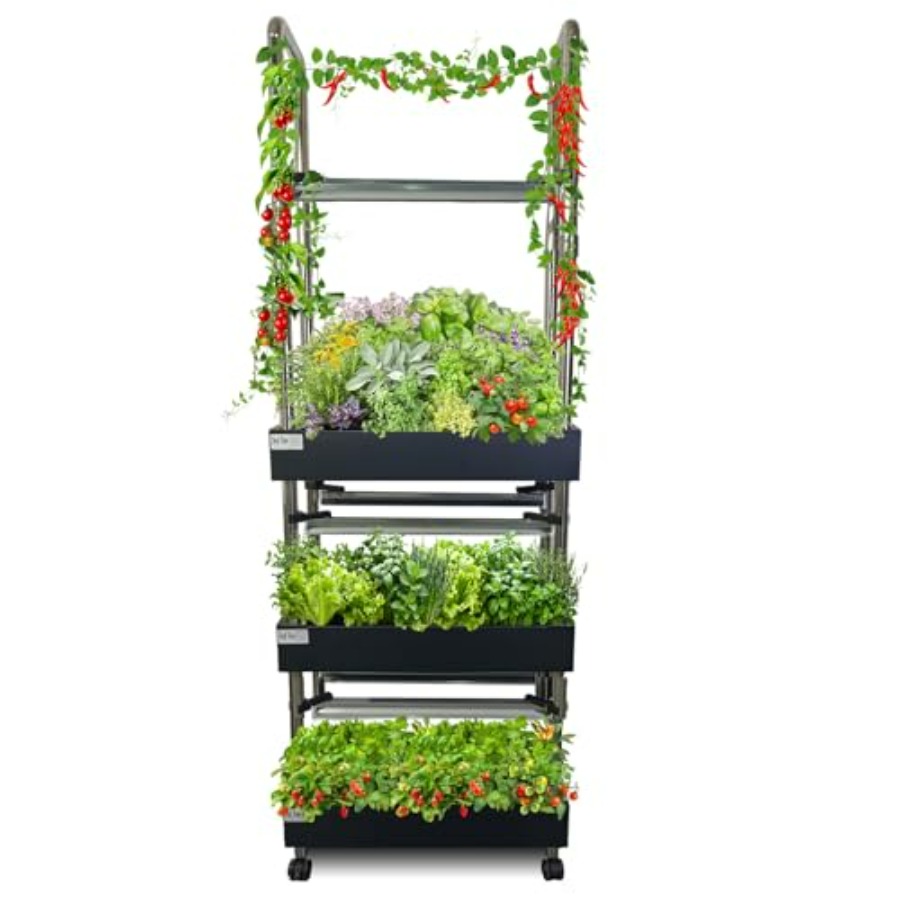 Smart Garden Vertical - Sistema de cultivo hidropónico interior: jardín