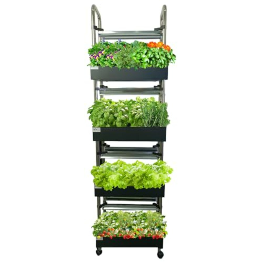 Smart Garden Vertical - Sistema de cultivo hidropónico interior: jardín