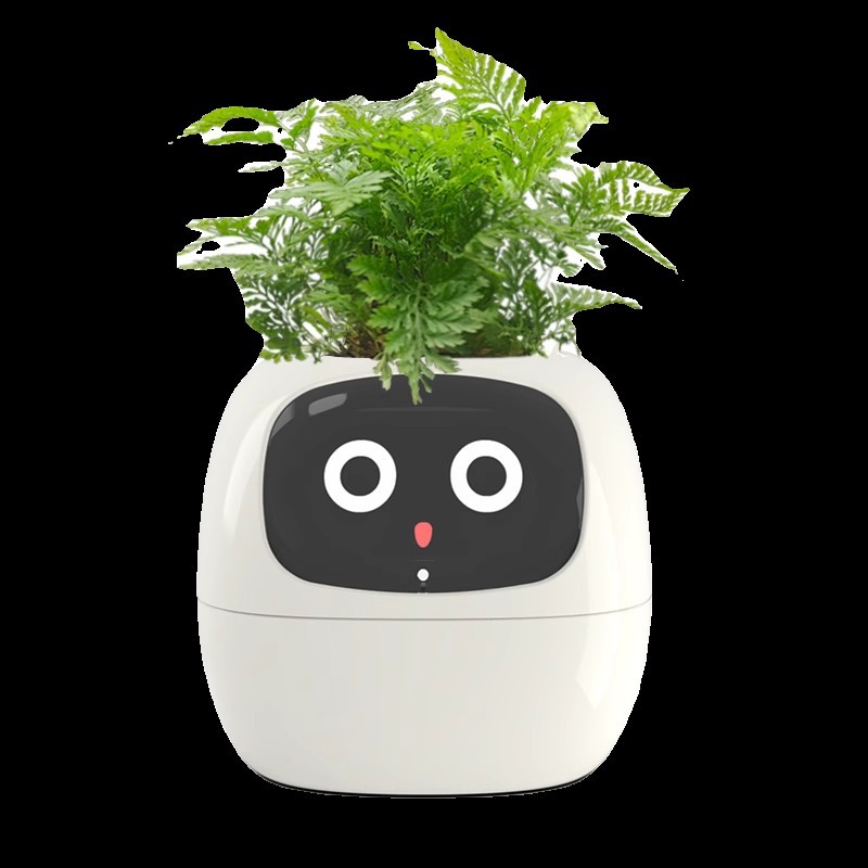 Maceta Inteligente Sensor Smar - Self Watering Pot Sensor reseña y precio