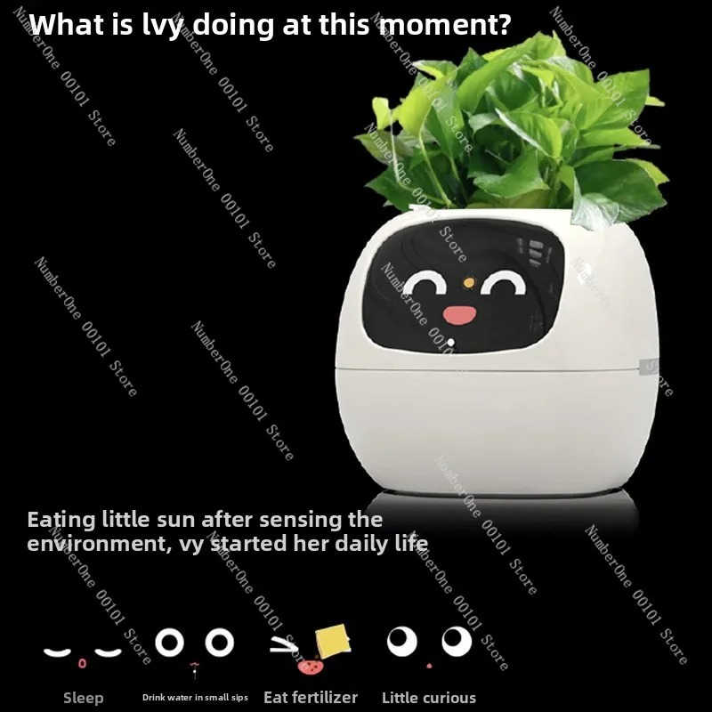 Maceta de Plástico con Riego A - Self Watering Pot Sensor reseña y precio