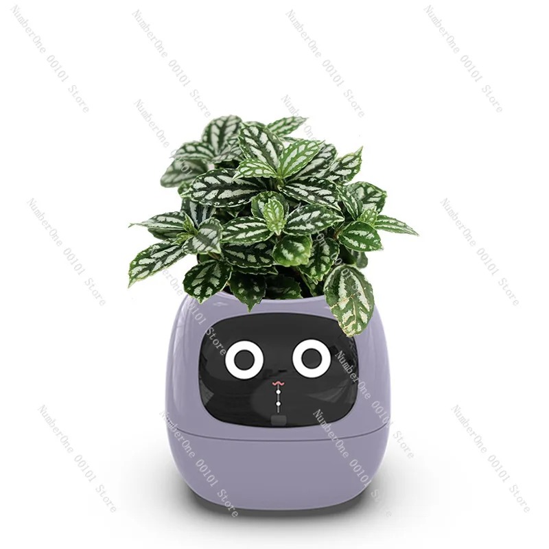 Maceta de Plástico con Riego A - Self Watering Pot Sensor reseña y precio